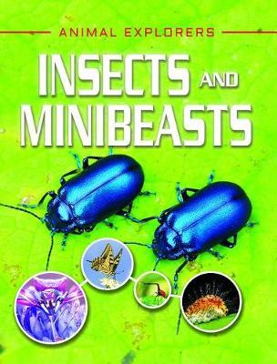 Insects and Minibeasts by Clare Hibbert image