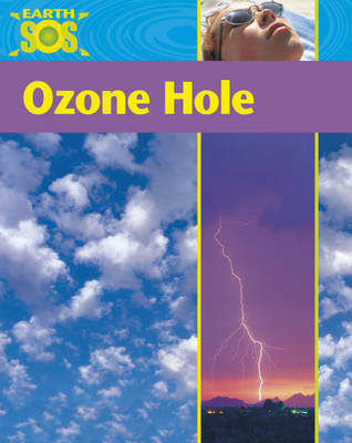 Ozone Hole by Sally Morgan image