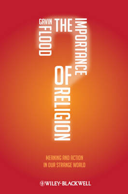 The Importance of Religion by Gavin Flood image