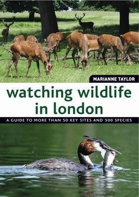 Watching Wildlife in London by Marianne Taylor image