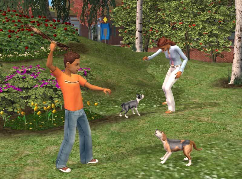 The Sims 2: Pets Expansion Pack DVD on PC