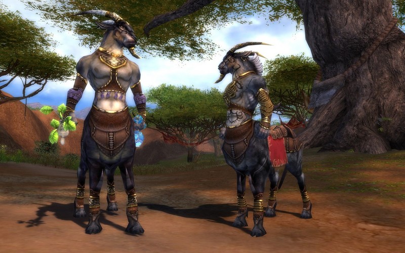 Guild Wars: Nightfall Collector's Edition for PC Games image