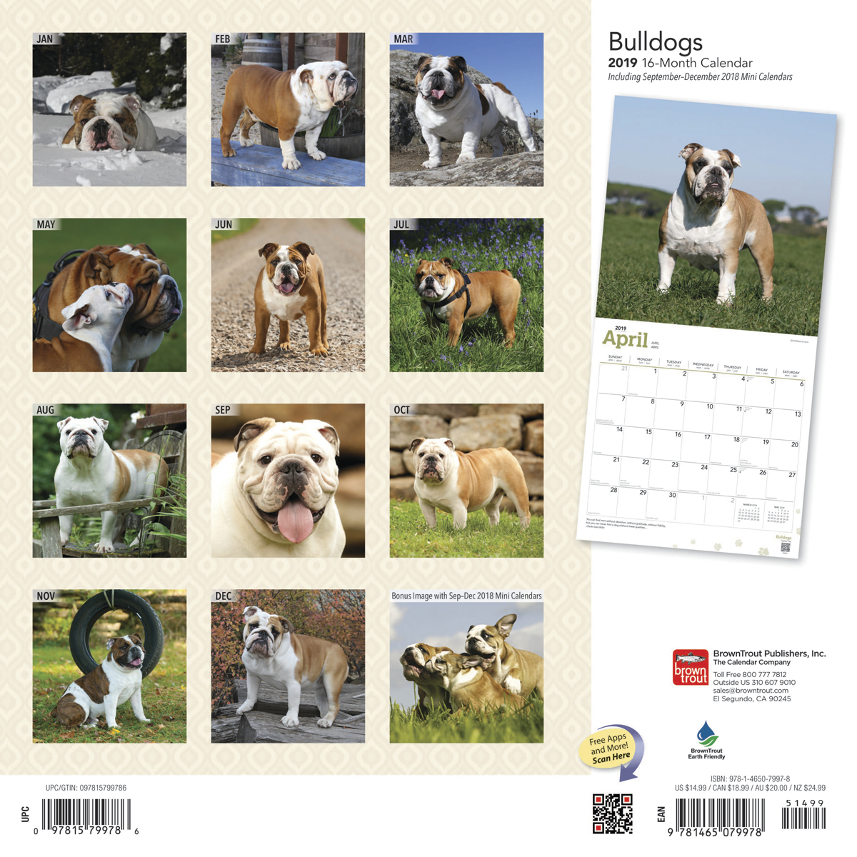 Bulldogs 2019 Square Wall Calendar by Inc Browntrout Publishers image