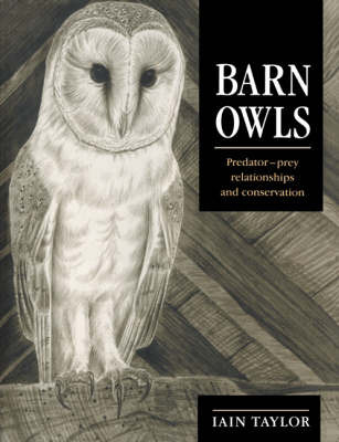 Barn Owls by Iain Taylor image
