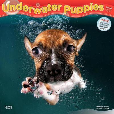 Underwater Puppies 2020 Square Wall Calendar image