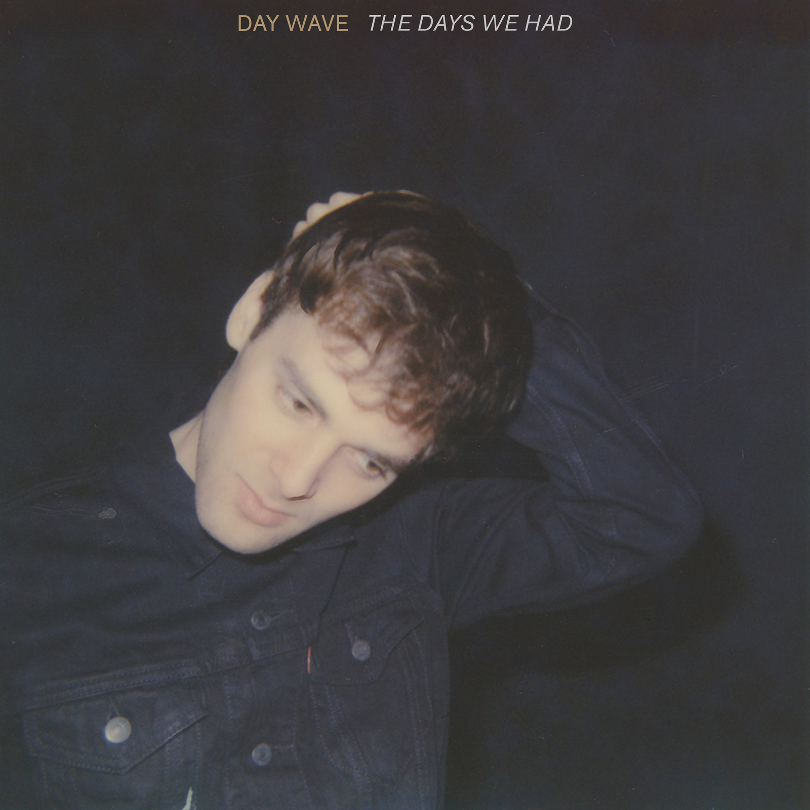 The Days We Had by Day Wave image
