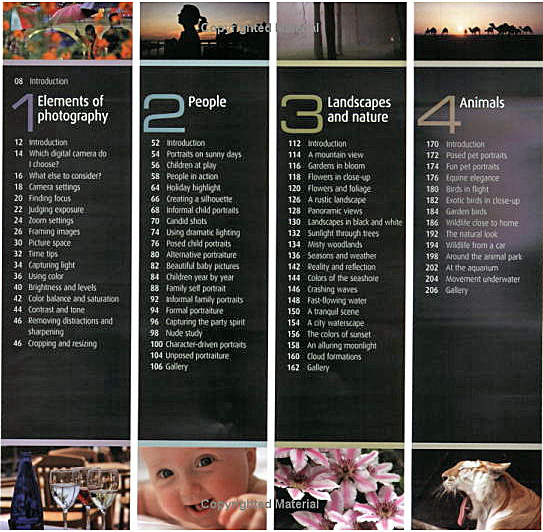 How to Photograph Absolutely Everything: Successful Pictures from Your Digital Camera by Tom Ang image
