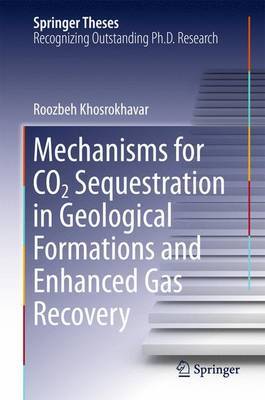 Mechanisms for CO2 Sequestration in Geological Formations and Enhanced Gas Recovery image