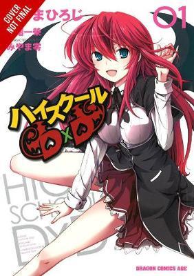 High School DXD: v. 1 by Ichiei Ishibumi image