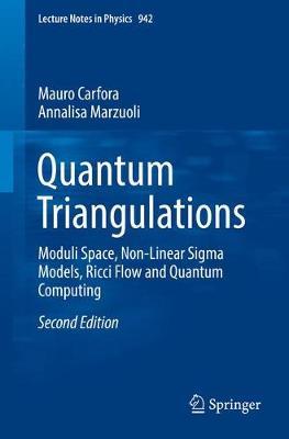 Quantum Triangulations by Mauro Carfora image
