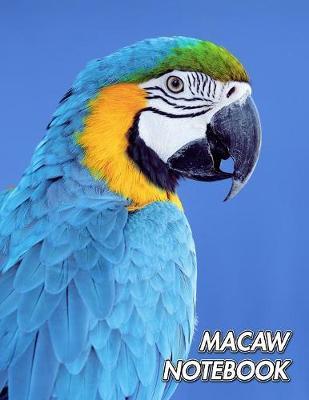Macaw Notebook by Notebooks Journals Xlpress image