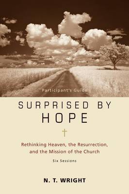 Surprised by Hope Participant's Guide by N.T. Wright image