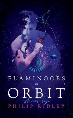 Flamingoes in Orbit by Philip Ridley image