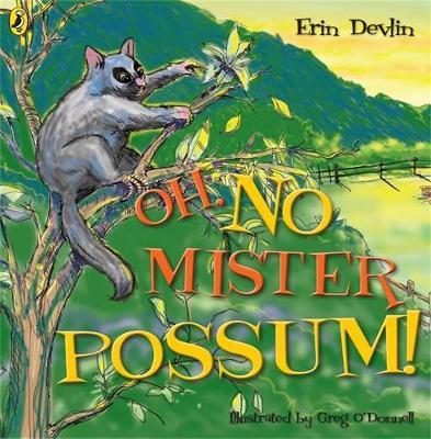 Oh, No Mister Possum! by Erin Devlin image