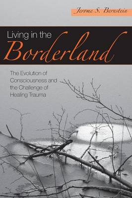 Living in the Borderland by Jerome S Bernstein image
