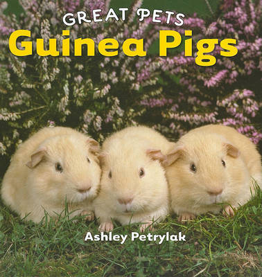 Guinea Pigs by Ashley Petrylak image