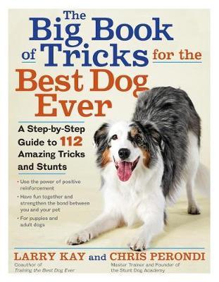 The Big Book of Tricks for the Best Dog Ever by Larry Kay image