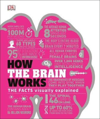How the Brain Works by DK image