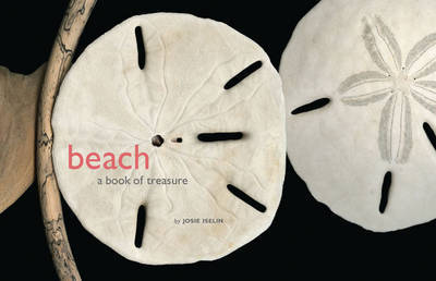 Beach on Hardback by Josie Iselin