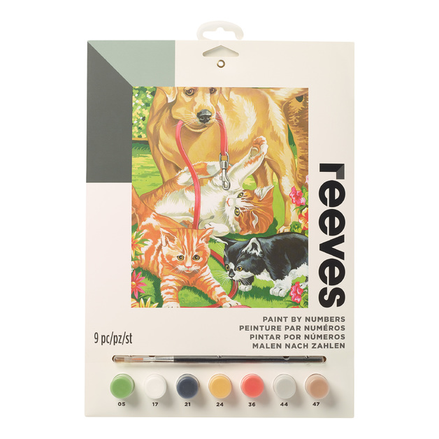 Buy Reeves Paint By Numbers Acrylic at Mighty Ape NZ