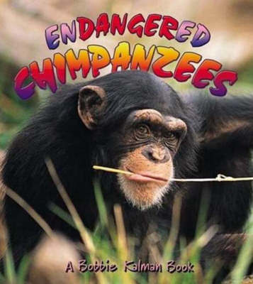 Endangered Chimpanzees by Bobbie Kalman image