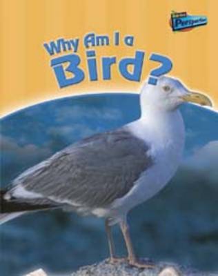 Why am I a Bird? by Greg Pyers image