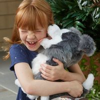 ricky the trick lovin pup