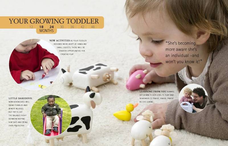 Your Toddler Month by Month by Tanya Byron image