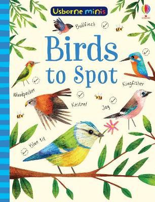 Birds to Spot by Sam Smith image