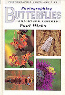 Photographing Butterflies and Other Insects by Paul Hicks image