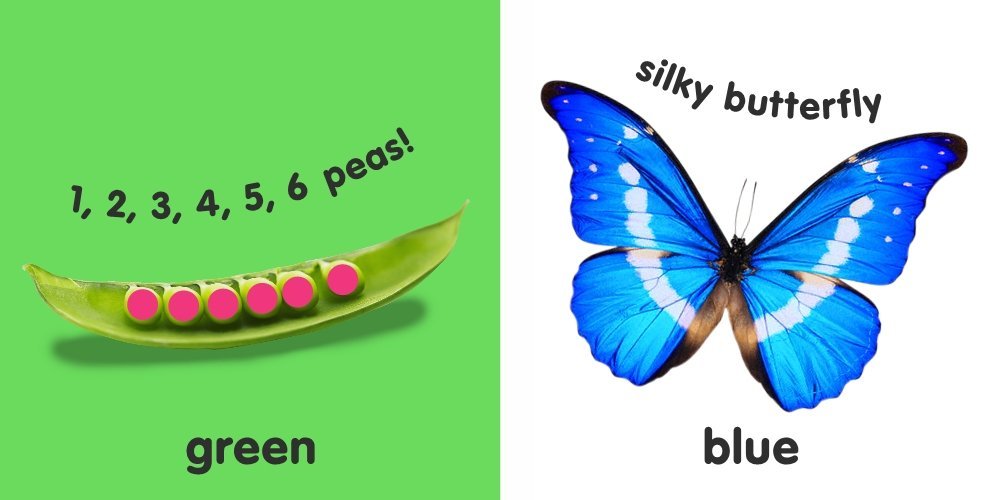 Colours and Shapes: Baby Touch & Feel by DK image