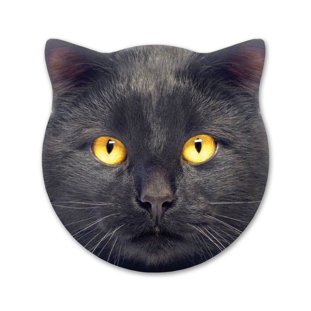 Splosh Kitty Ceramic Coaster - Max image