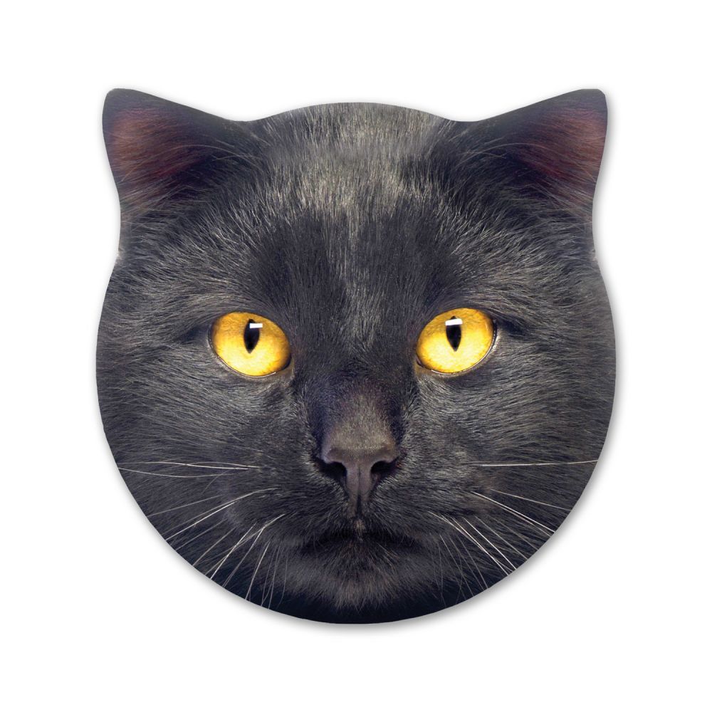 Max Kitty Ceramic Coaster image