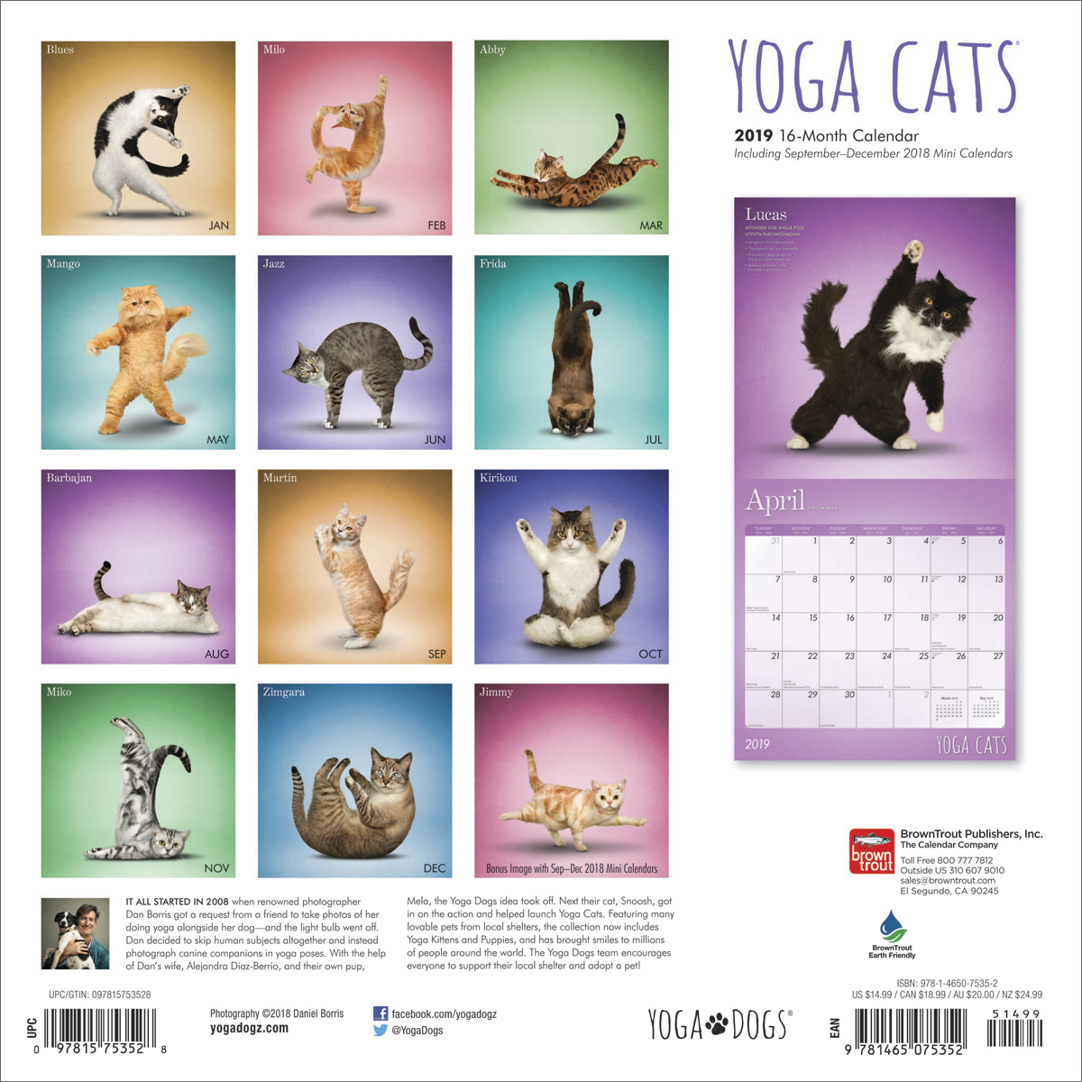 Yoga Cats 2019 Square Wall Calendar by Inc Browntrout Publishers image