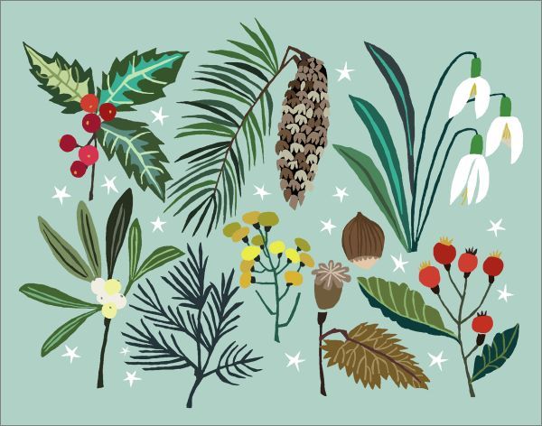 Canns Down Press: Boxed Christmas Cards - Winter Walk image