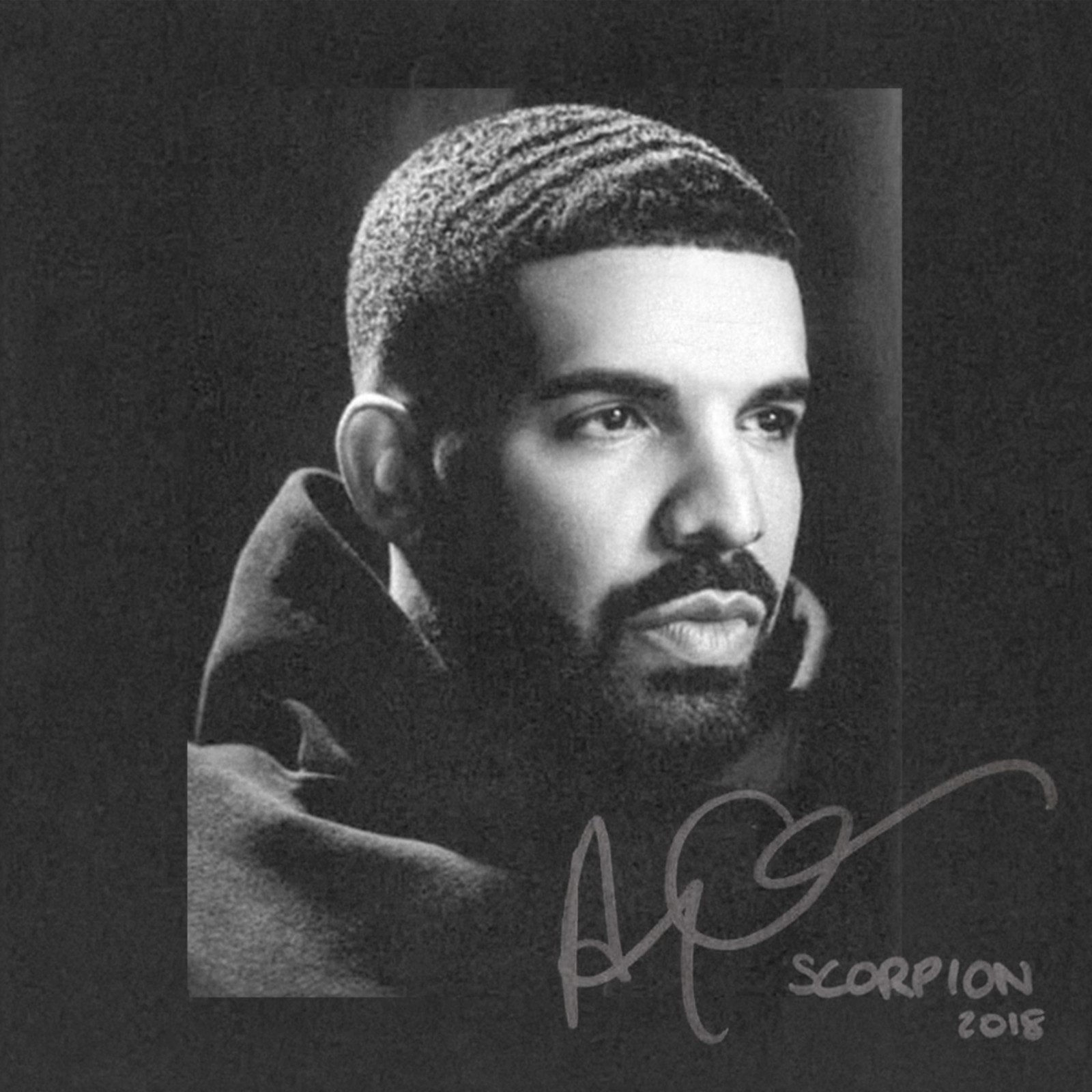 Scorpion by Drake image