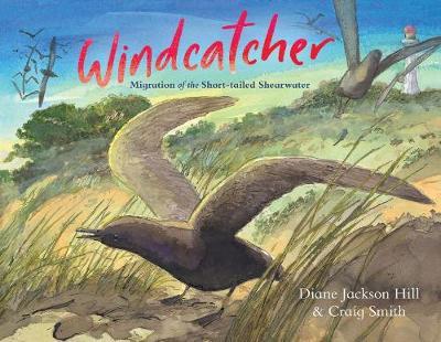 Windcatcher by Diane Jackson Hill image