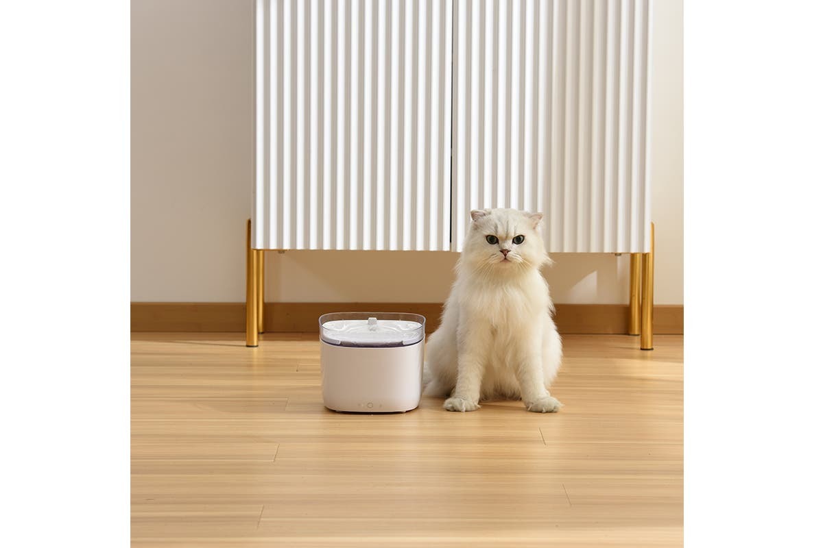 Buy Kogan SmarterHome 1.9L Pet Water Fountain at Mighty Ape NZ