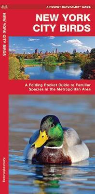 New York City Birds: A Folding Pocket Guide to Familiar Species in the Metropolitan Area by Waterford Press image