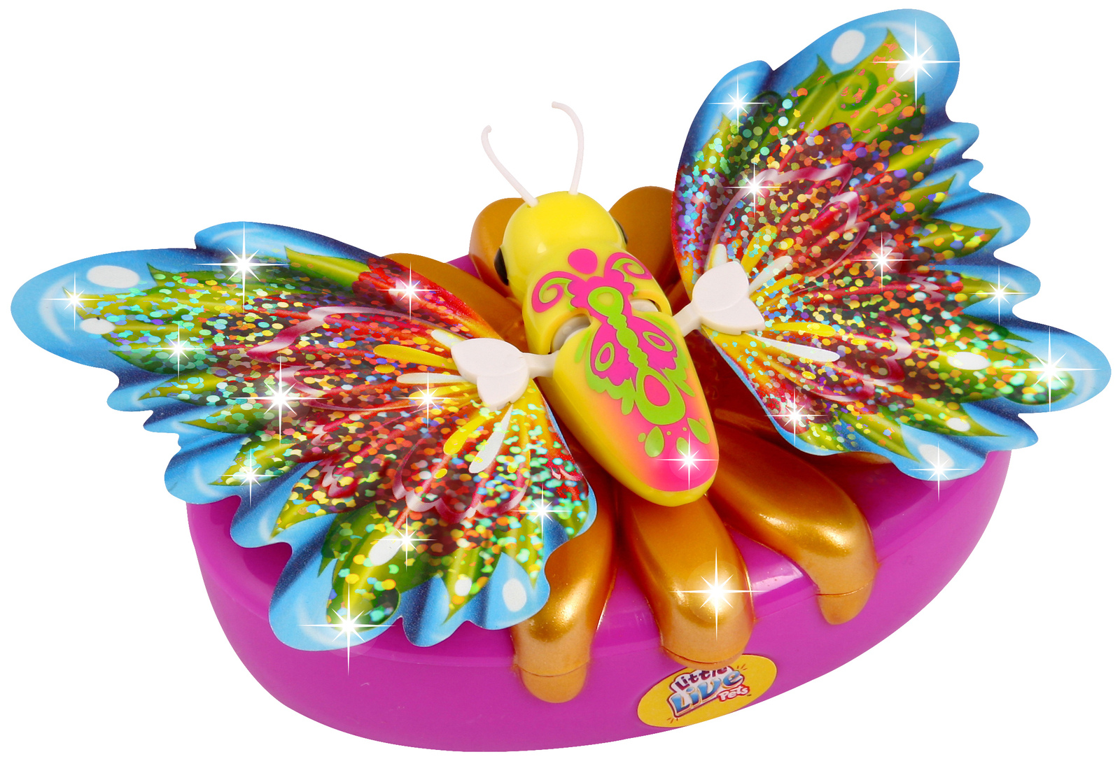 Buy Little Live Pets Butterfly Starter Pack Tropical Beauty at Mighty