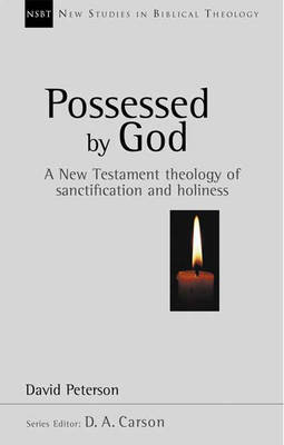 Possessed by God by David Peterson image