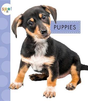 Puppies by Anastasia Suen image