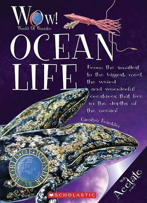 Ocean Life on Paperback by Carolyn Franklin