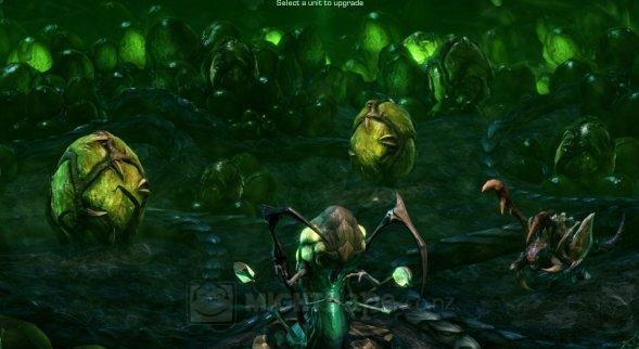 StarCraft II: Heart of the Swarm Collector's Edition for PC image