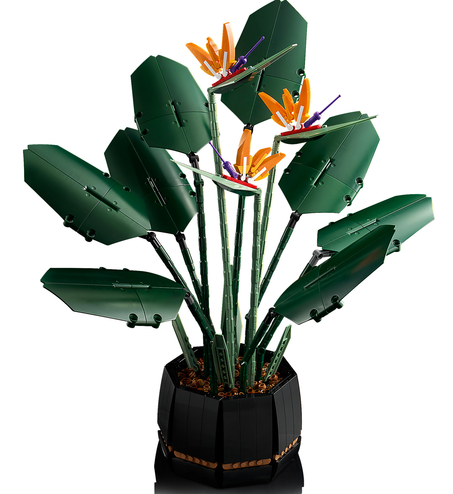 LEGO Creator: Botanical Series - Bird of Paradise (10289) image