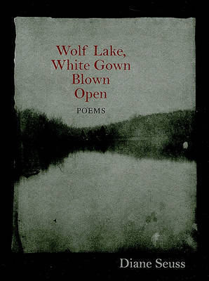 Wolf Lake, White Gown Blown Open by Diane Seuss