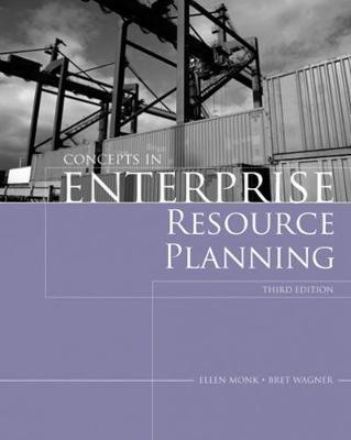 Enterprise Resource Planning by Ellen Monk image