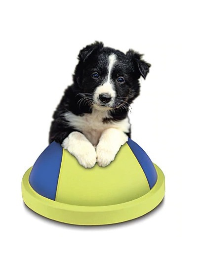 Slide & Glide Pet Ball image