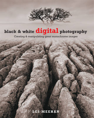 Black and White Digital Photography: Creating and Manipulating Great Monochrome Images by Les Meehan image