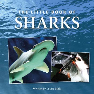 Little Book of Sharks image